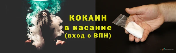 трава Наволоки