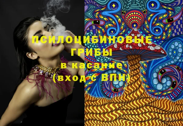 бошки Нея