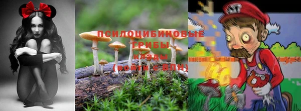 ПСИЛОЦИБИНОВЫЕ ГРИБЫ Нефтекумск