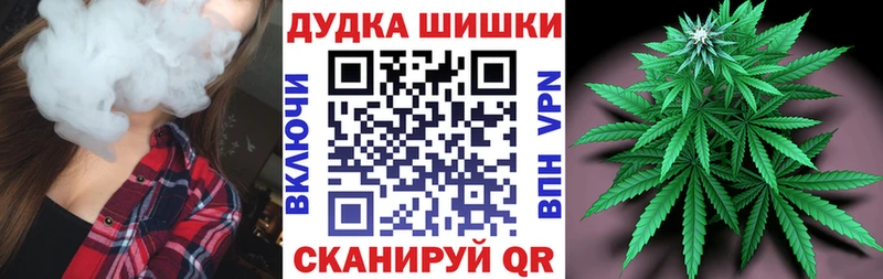 как найти наркотики  Чкаловск  Бошки Шишки марихуана 